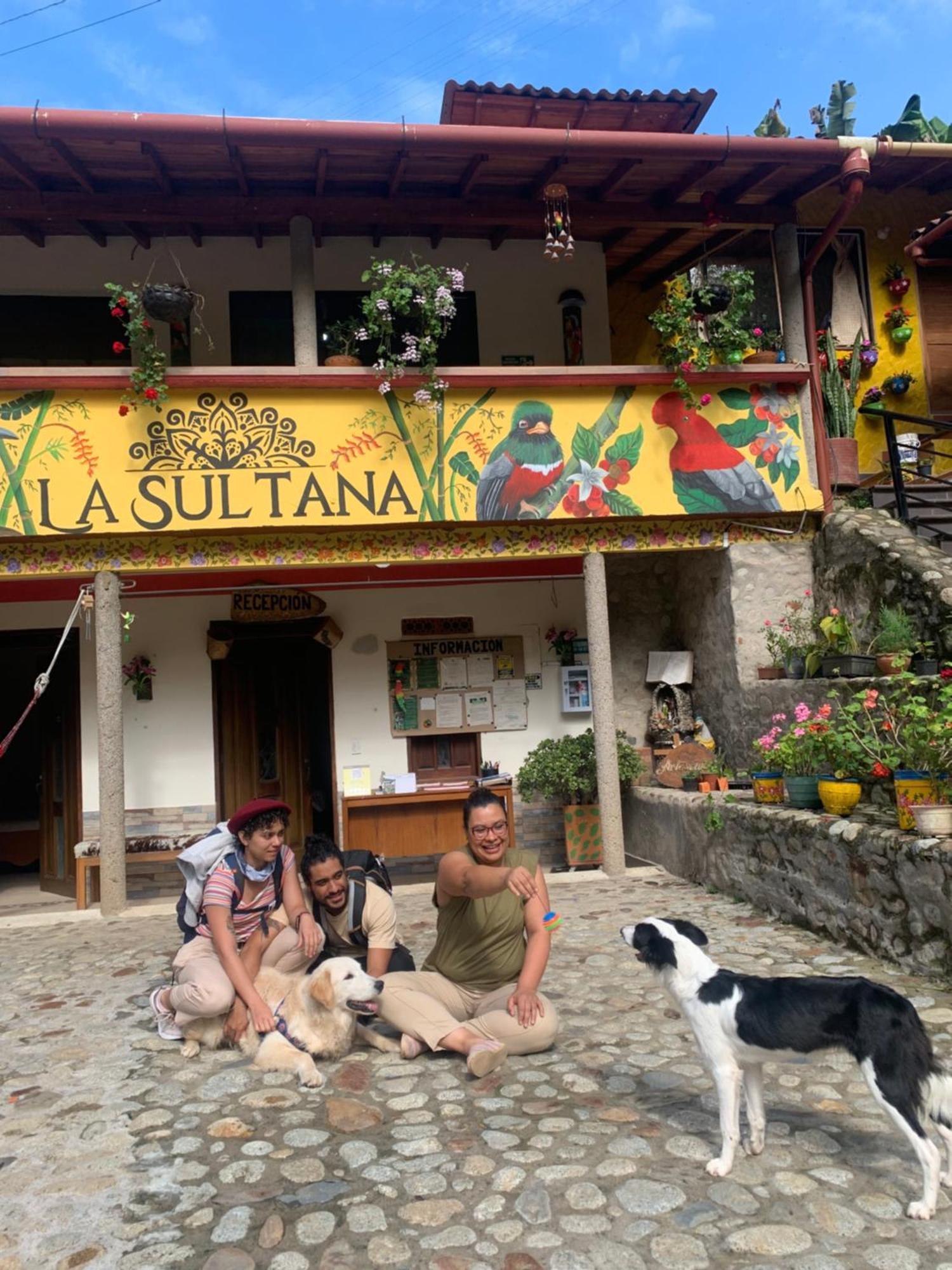 Hotel La Sultana Jardín